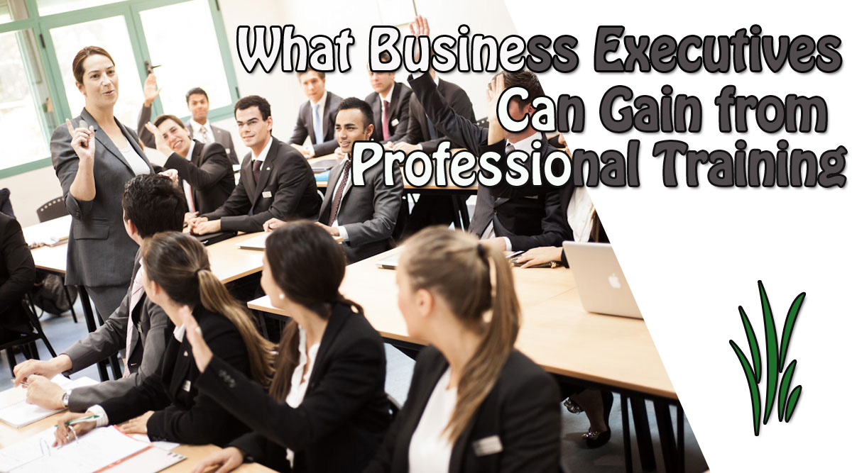 What Business Executives Can Gain from Professional Training